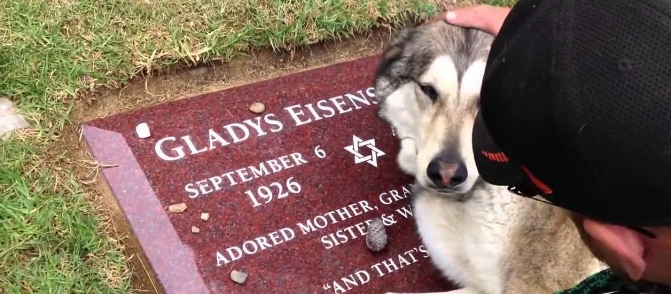 Σκυλάκι κλαίει στον τάφο του «αφεντικού» του – Οι εικόνες συγκλονίζουν (βίντεο)